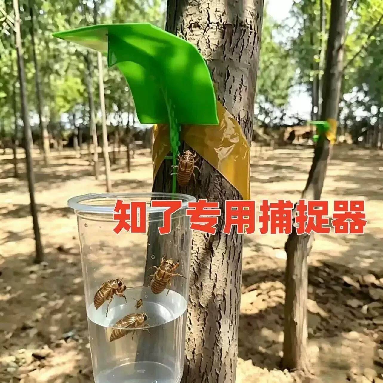 知瞭专用捕捉器捕蝉工具金蝉知瞭猴捕捉神器自动捕捉包捉金蝉