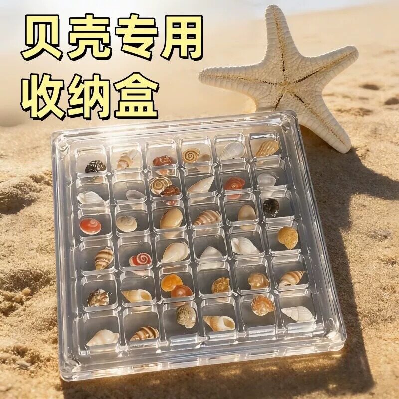 贝壳收纳盒透明压克力分格盒子捡装海螺标本的展示相框磁吸收集盒