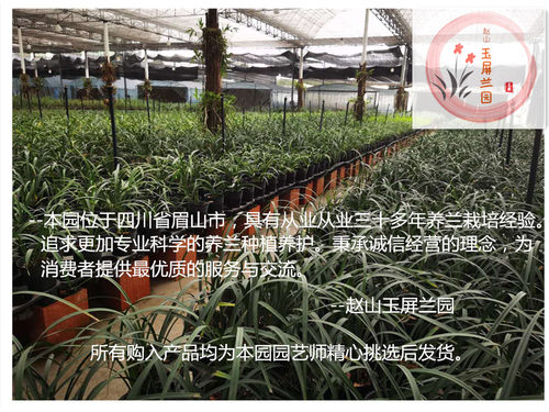 直播专用链接5～150