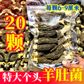 羊肚菌干货大个农家土特产菌菇蘑菇滋补煲汤新鲜 20颗特大号