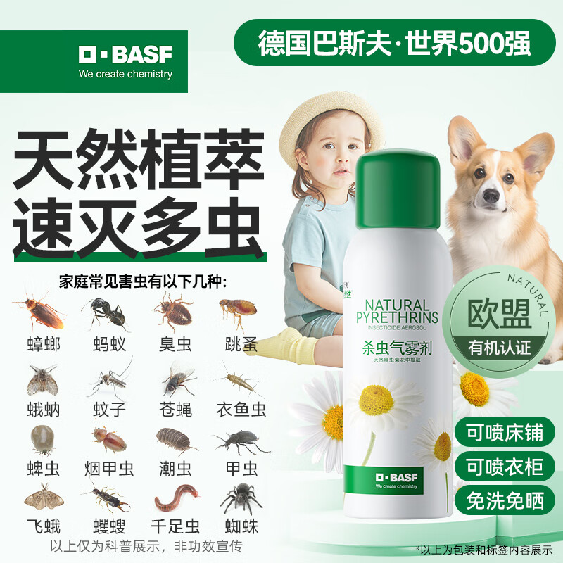 巴斯夫除虫菊杀虫气雾剂