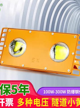 亚明隧道灯LED防爆灯工地施工100W低压36V24防爆投光灯仓库厂房