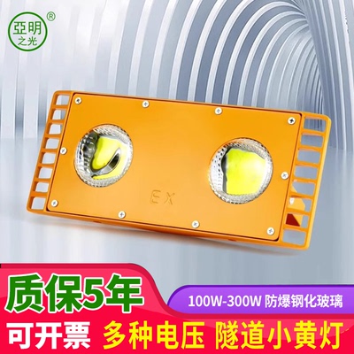 亚明隧道灯LED防爆灯工地施工100W低压36V24防爆投光灯仓库厂房