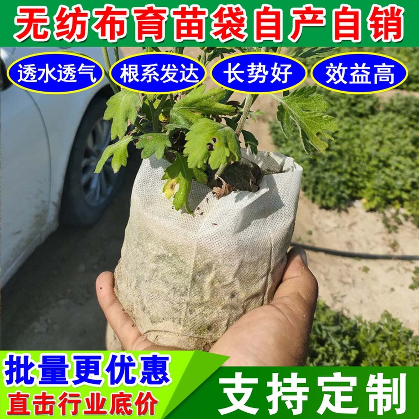 白色无纺布育苗袋营养袋营养杯可降解免脱袋营养钵一次性花盆透气