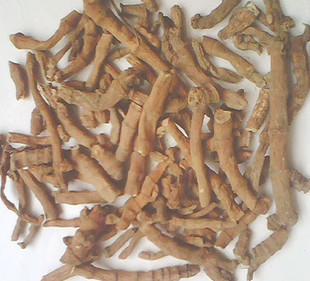 中药材中草药三白草根500克