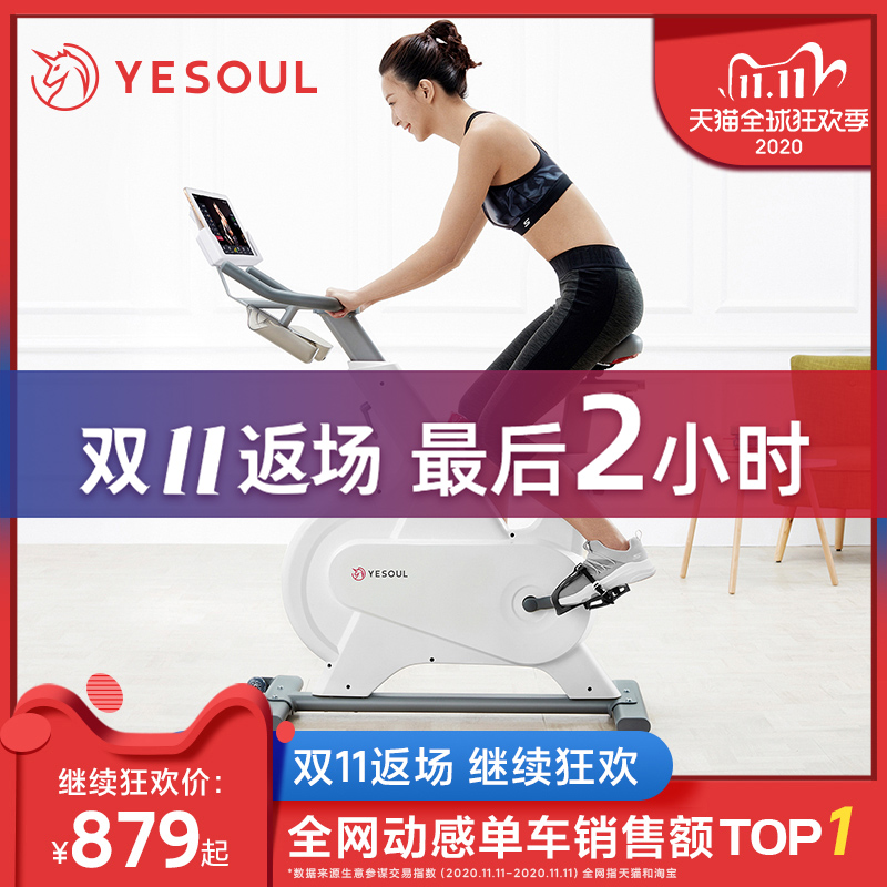 YESOUL野小兽动感单车磁控家用超静音健身车室内减肥器小米有品M1