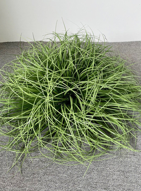 绿色假蒲草仿真花假草摆件