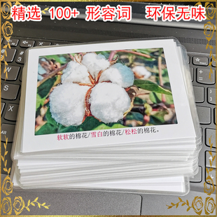 形容词卡片训练卡语言发育迟缓儿童康复教具个训aba孤独症自闭症