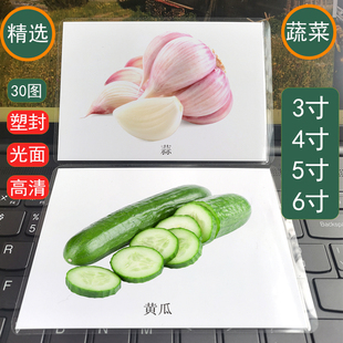 蔬菜类 儿童早教认知卡片语言发育迟缓自闭症孤独症康复训练卡片