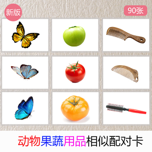 自闭症孤独症ABA教学实操卡片相似配对一卡片儿童康复训练教具