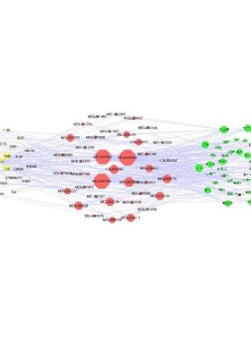 生信分析TCGA GEO GTEx数据库下载挖掘limma差异分析ppi蛋白互作