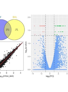 RNA-seq 转录组数据分析