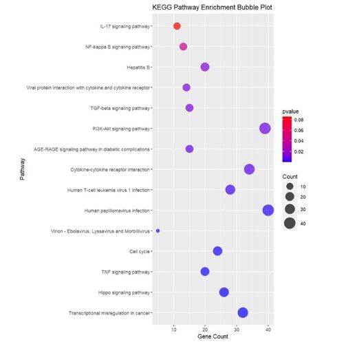 python数据分析代写代做pandas/matplotlib/sklearn词云图