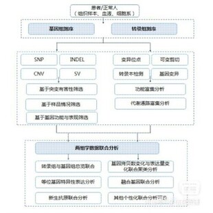生信相关问题咨询 、GEO数据库、TCGA数据库、CGGA数据库