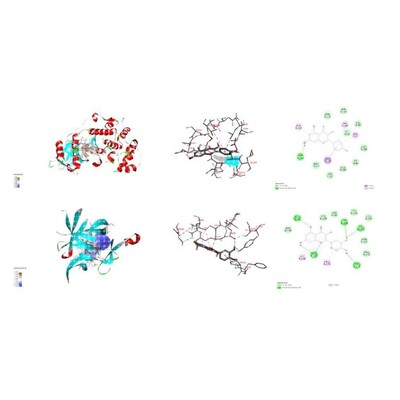 诊断模型构建 生物标志物 早期诊断 ROC曲线