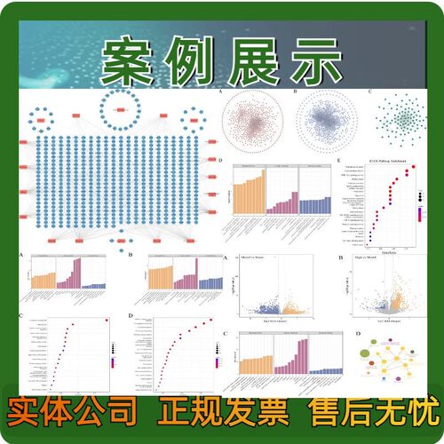 Go Kegg富集分析，GSEA富集分析，通路富集分析，气泡图，柱状图