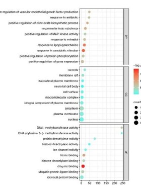 生信分析服务单细胞测序转录组r语言生物信息TCGA GEO数据库挖掘