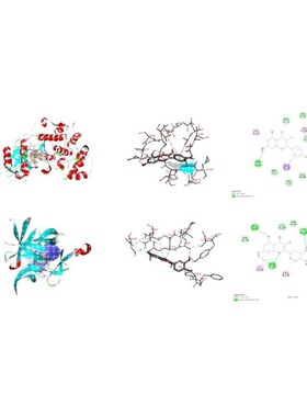 生信分析/GWAS/孟德尔随机化/测序分析/UKB数据/单细胞分析/R语言