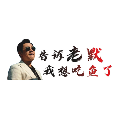 灿盛PVC材质电动摩托汽车车身贴