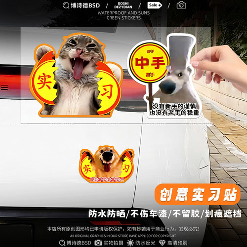 哈基米搞笑猫咪撕烂实习磁吸车贴