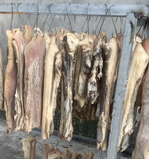 风干腊肉 腊肠 排骨正宗传统工艺制作咸肉五花腊肉南充南部特产