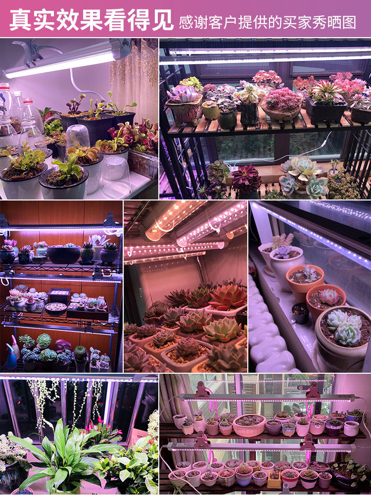 全光谱植物灯生长灯仿太阳光室内家用模拟光照上色多肉专用补光灯