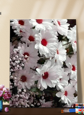 数字油画填色材料包植物雏菊解压