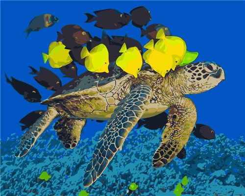 diy数字油画自己涂填色材料包自由沙滩上海龟海底小鱼洋生物装饰