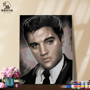 DIY数字油画自己填色埃尔维雷斯利猫王摇滚歌手人物家居装饰新款