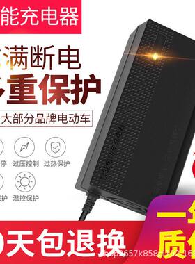 电动车电瓶充电器48V12AH20AH60V72V32AH80V96V雅迪新日爱玛用