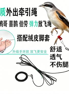 鸟用轻便放飞绳｜八哥鹩哥白颈不
