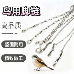 伯劳鸟脚环脚链喜鹊八哥小玄凤牡丹灰不锈钢活扣鸟链子站架训练