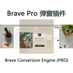 Brave Pro 弹窗插件Brave Conversion Engine PRO可视化编辑器wp