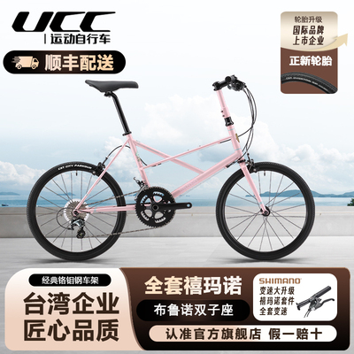 BrunoGemini布鲁诺双子座