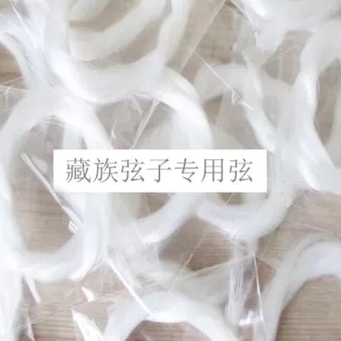 弦子琴弦，公母琴，（巴塘弦子、芒康弦子、德钦弦子）