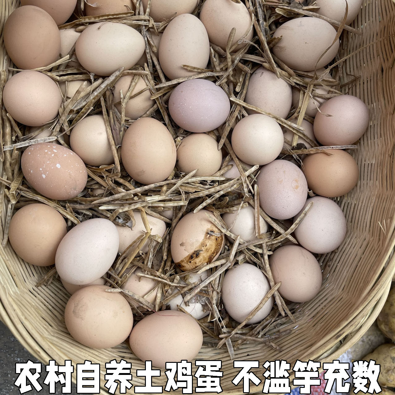 高山农村散养土鸡蛋农家散养鸡蛋 初生蛋30枚宝宝蛋草鸡蛋柴鸡蛋