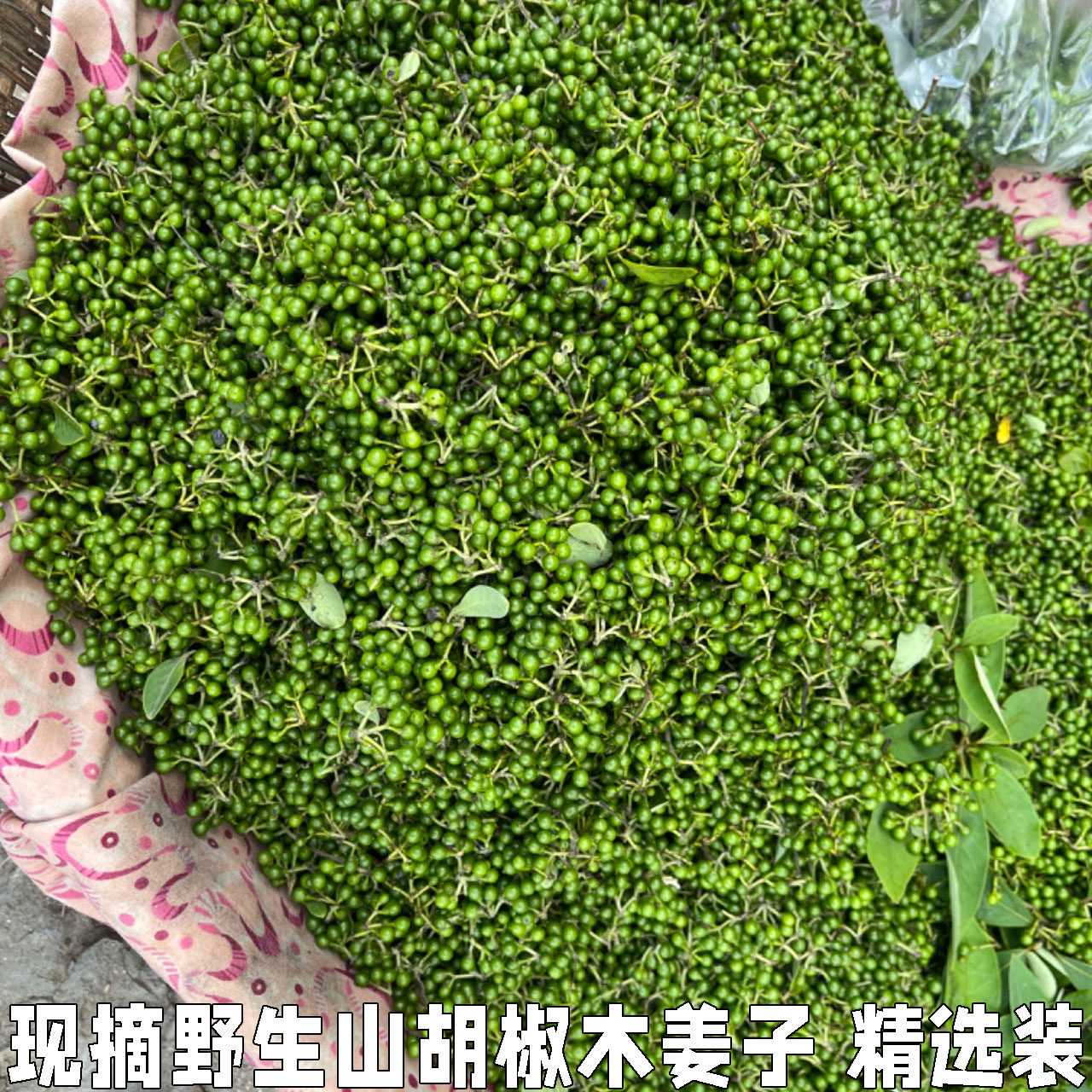 野生山胡椒新鲜木姜子现摘