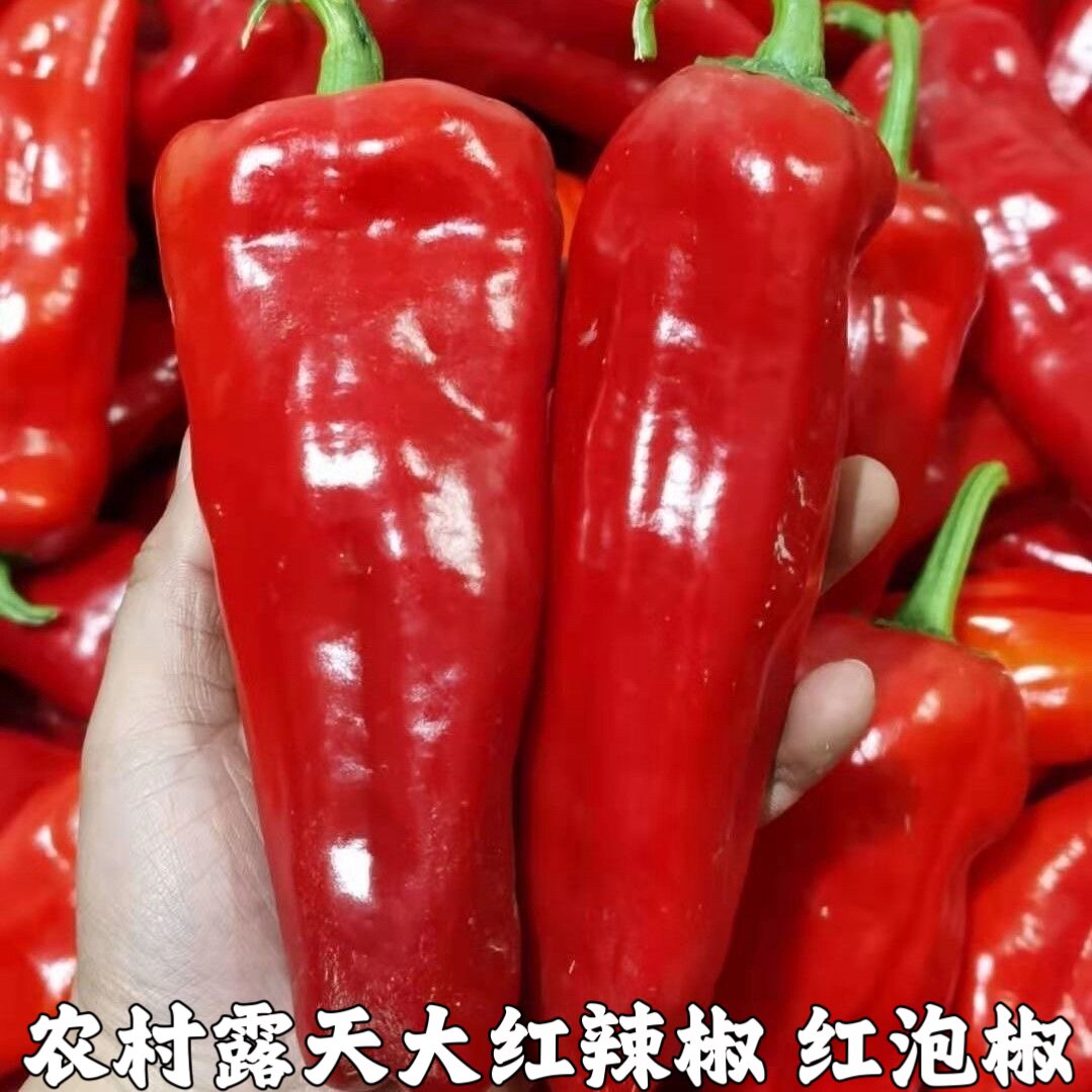 红尖椒和大红椒,大红椒_大山谷图库