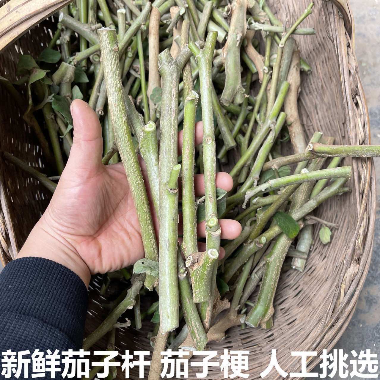 新鲜茄子杆茄子杆皮茄柴卤茄子柴茄子树皮茄子秧现摘茄子干茄子梗