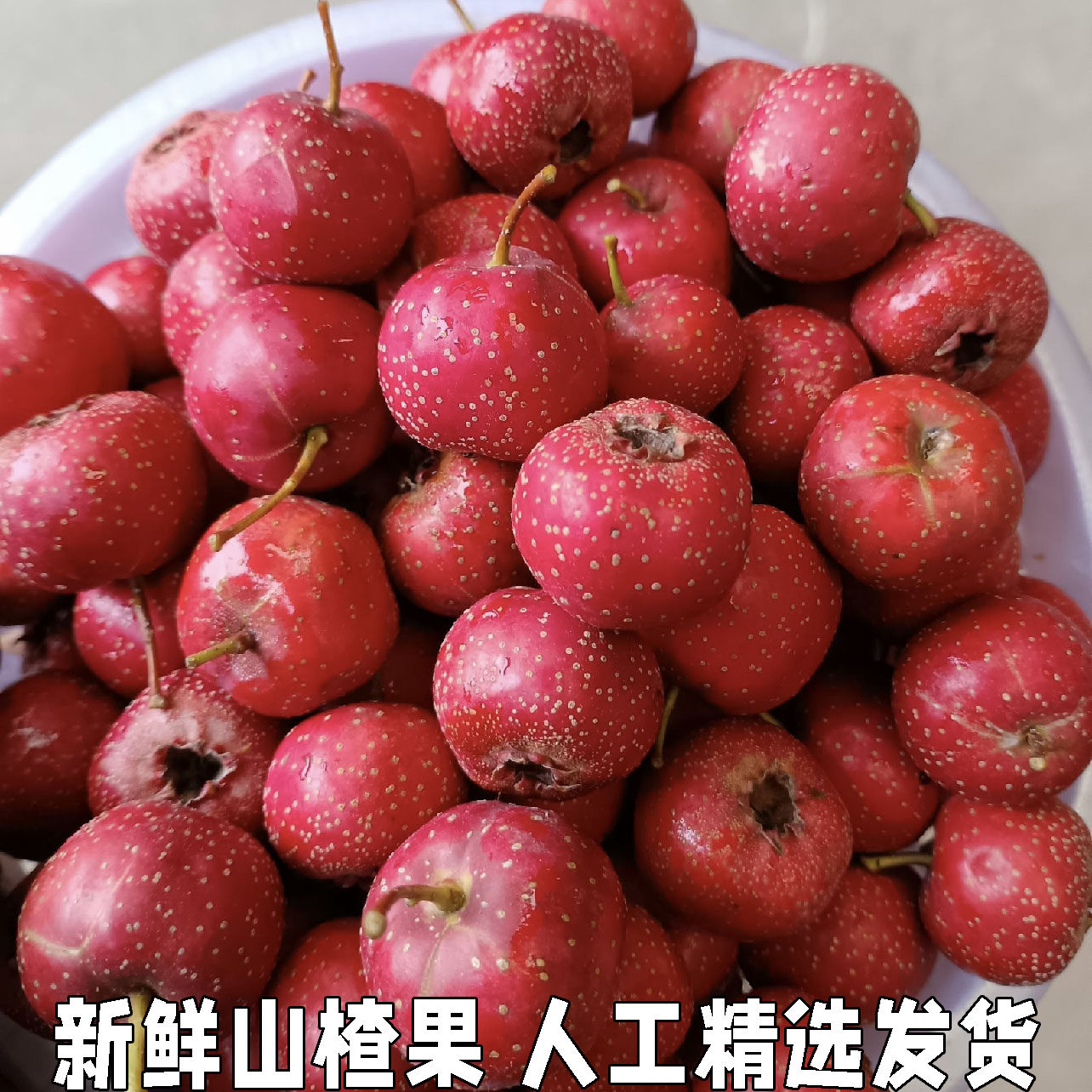 新鲜山楂果山楂新鲜山楂果水果山里红铁山楂冰糖葫芦山楂大果包邮