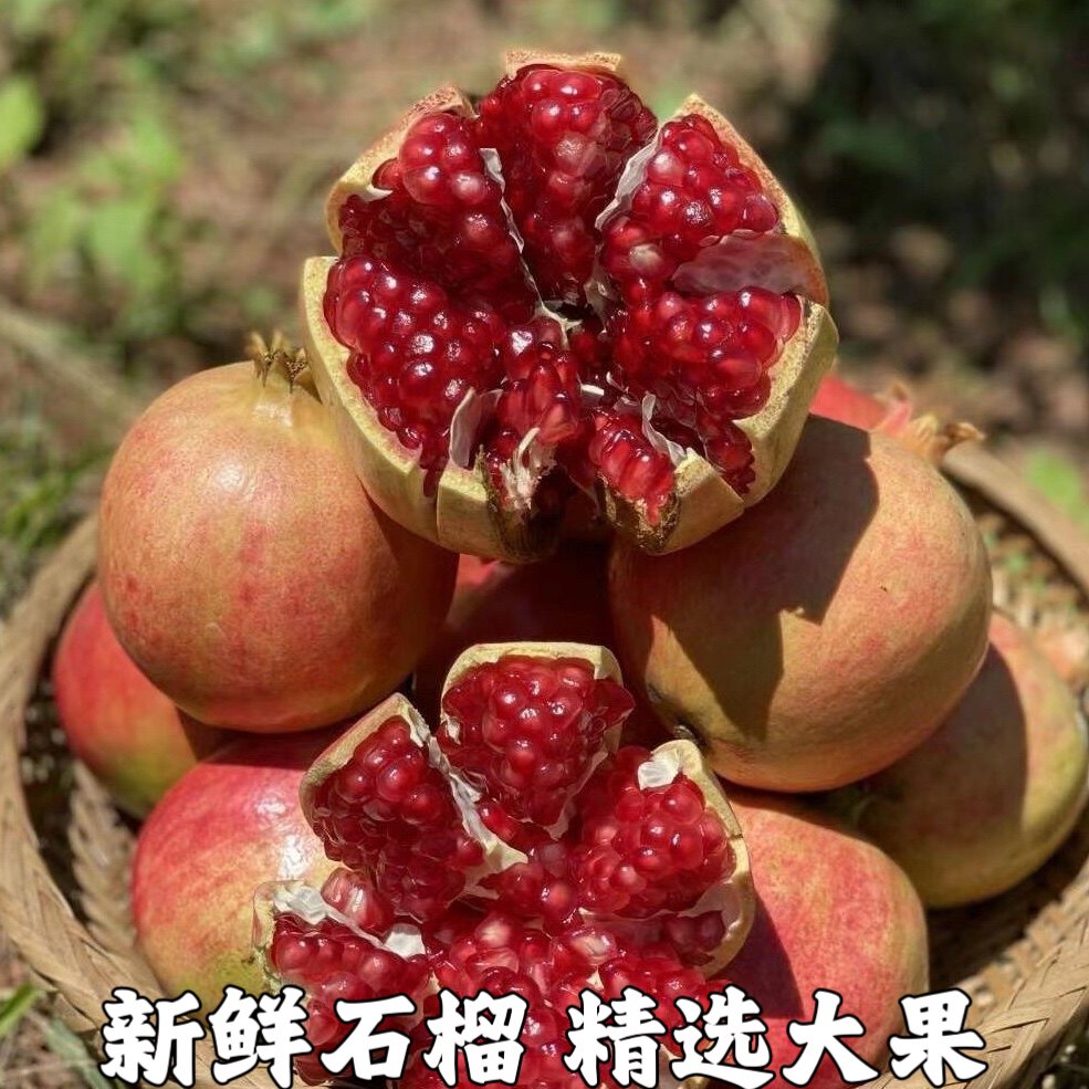 农家自种突尼斯软籽石榴新鲜当季时令水果红宝石无籽石榴精选大果