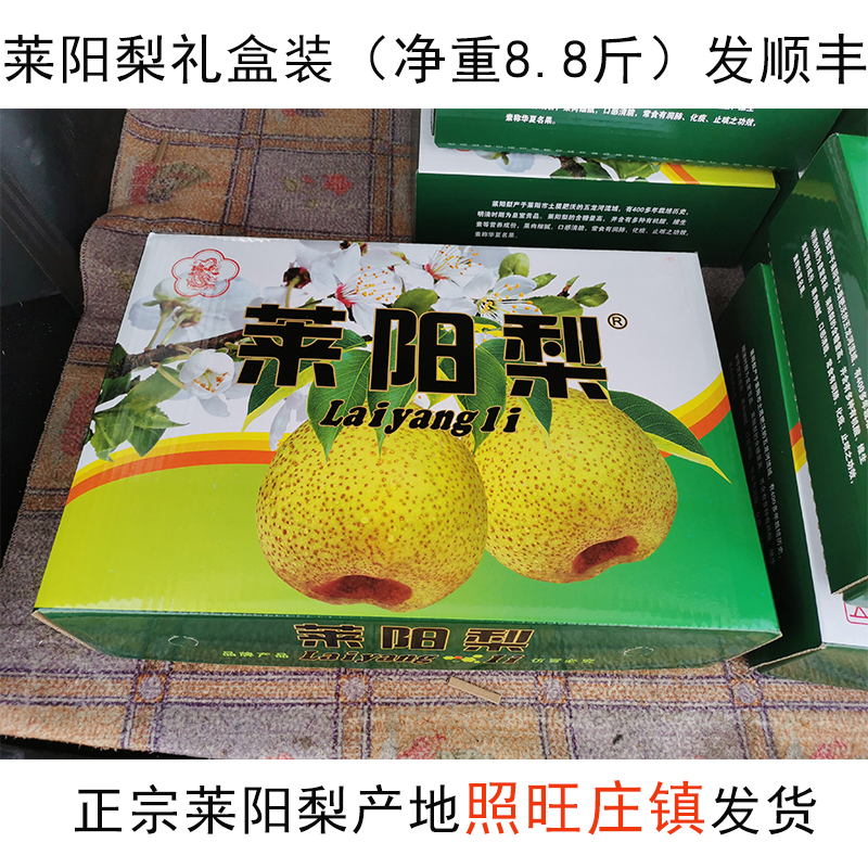 正宗莱阳梨山东莱阳慈梨当季新鲜