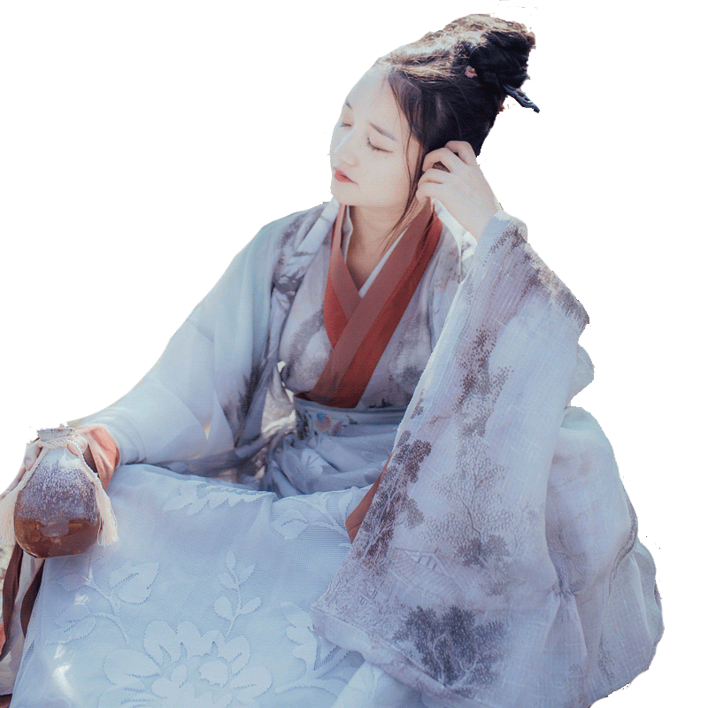 银狐魏晋风汉服女古装广袖流仙裙中国风交领学生齐腰襦裙套装秋装