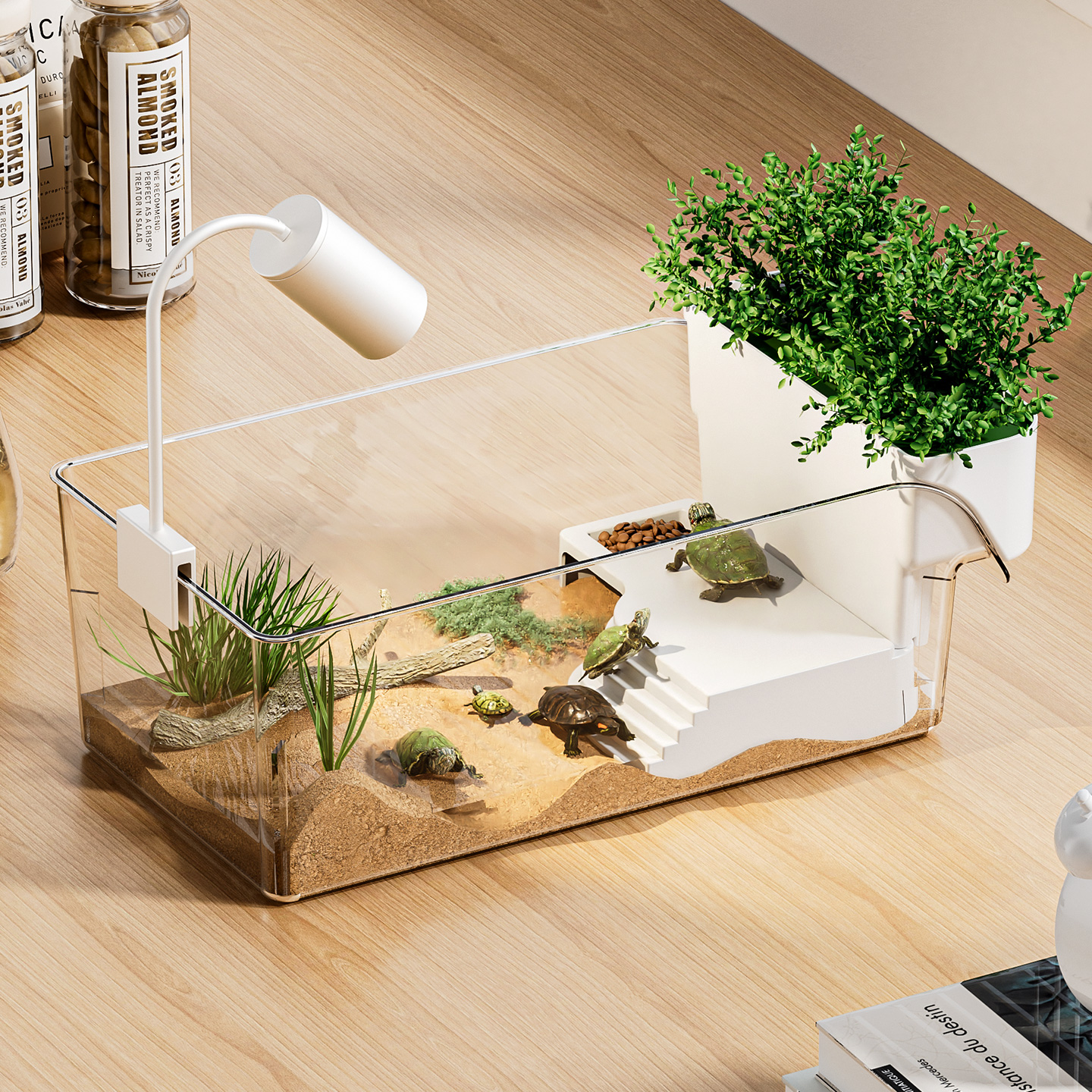 乌龟饲养缸生态造景家用小型桌面