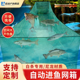 网箱只进不出自动进鱼杂鱼鲫鱼白条养殖笼子捕鱼神器鱼塘水库专用