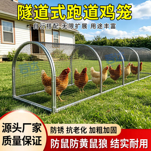 跑道鸡笼走地户外隧道新型