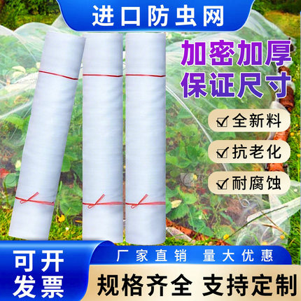 防虫网种菜专用农用大棚80目蔬菜100目果树菜园菜地新型养殖网罩