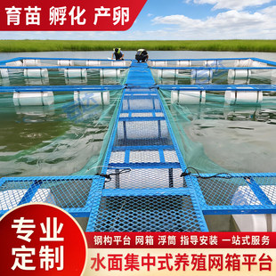 高密度水产养殖设备水上养殖网箱平台建深水牛蛙养殖钢构浮桥网箱