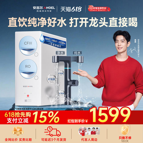 安吉尔玉龙1000G双出水净水器