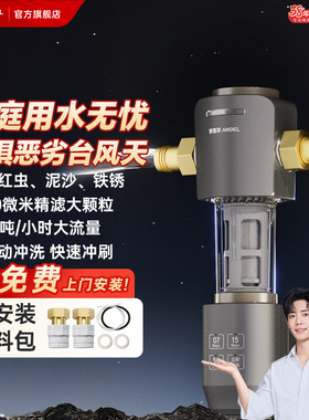 安吉尔前置过滤器自动反冲洗净水